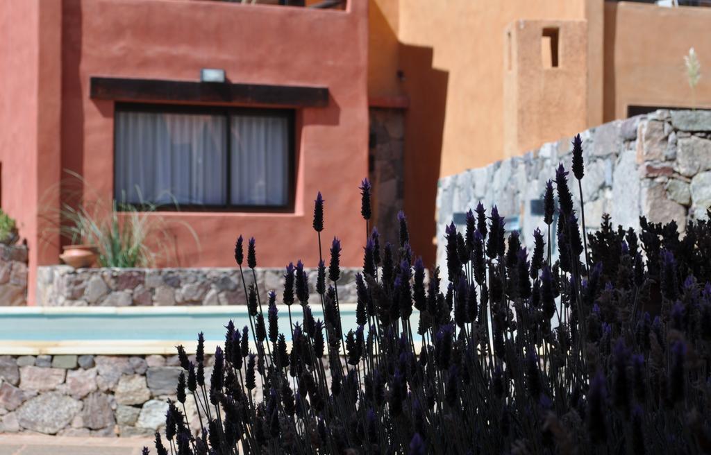 Colores De Purmamarca Eksteriør bilde